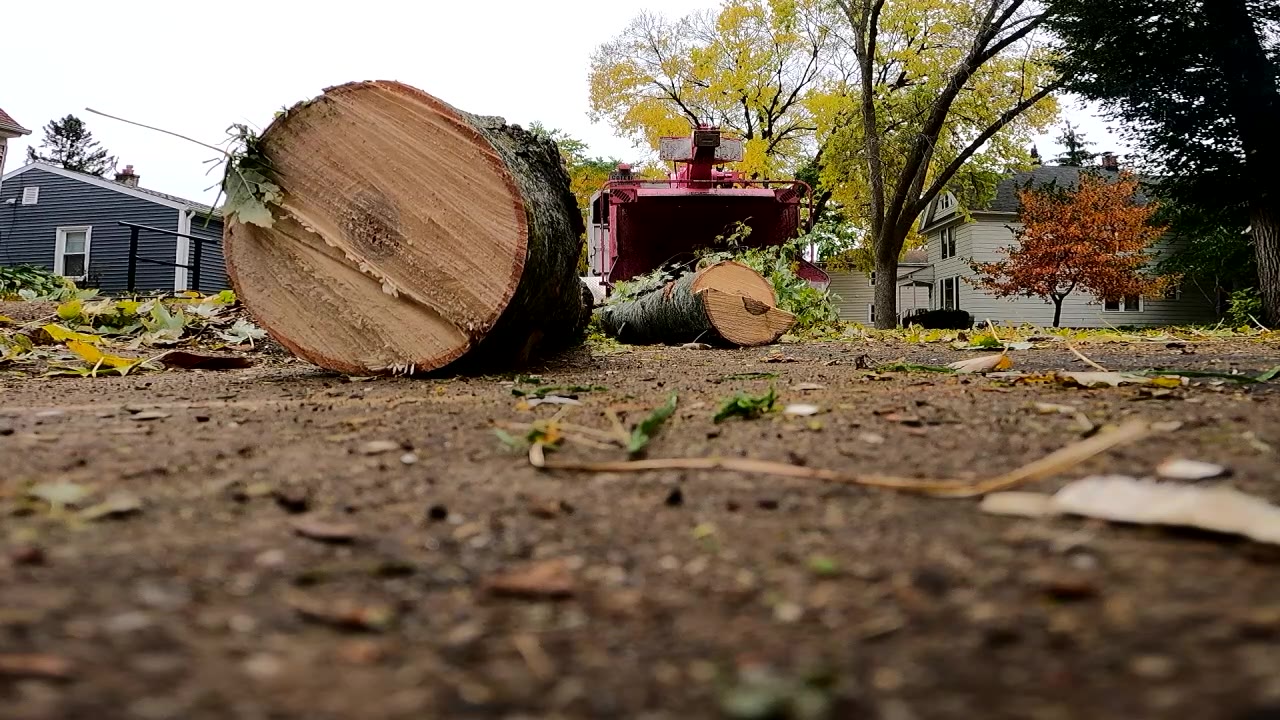 Tree removal company equipment theft